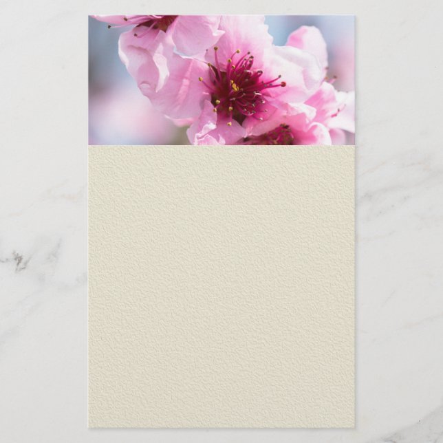 Frühlingsblüte Flyer (Vorne)