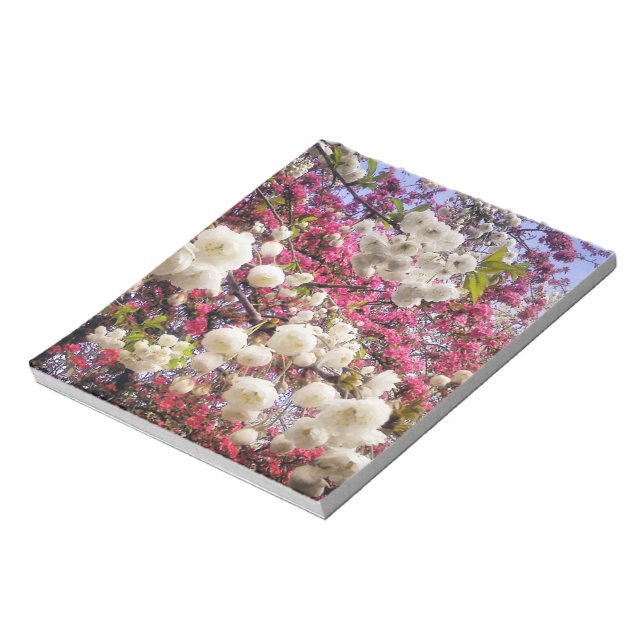 Frühlingsblüte in Wales in Weiß und Rosa Notizblock (Rotiert)