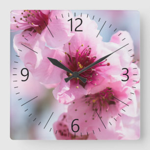 Frühlingsblüte Quadratische Wanduhr