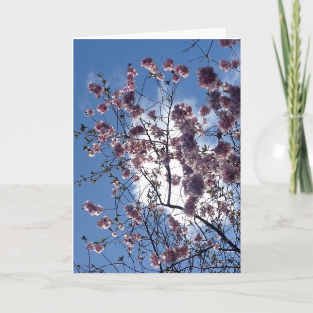 Frühlingsblüte von der Loch- Nessgruß-Karte Karte (Vorderseite)