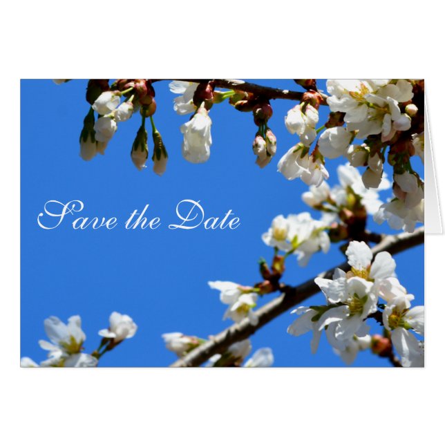 Frühlingsblüten (Vorderseite (Horizontal))