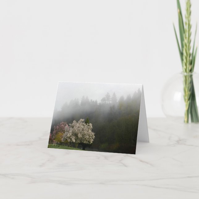 Frühlingsblüten am Morgen nebeliger Foto Note Card Karte (Vorderseite)