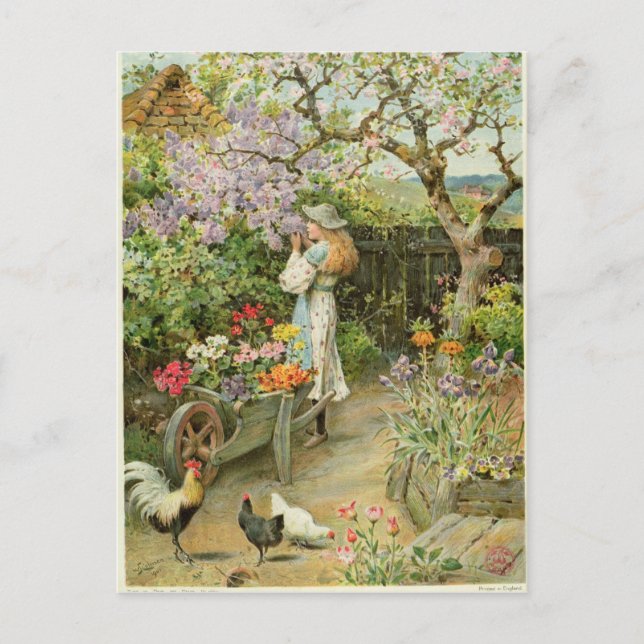 Frühlingsblüten aus dem Jahr 1902 der Birnen Postkarte (Vorderseite)