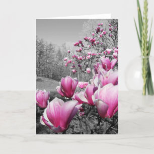 Frühlingsblüten Karte