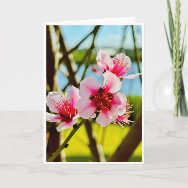 Frühlingsblüten Leere Karte (Vorderseite)