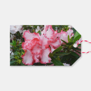 Frühlingsblüten mit doppeltem Rot und weißem Azale Geschenkanhänger