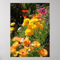 Frühlingsbullen Hütte Garten Blumengewächse Blume