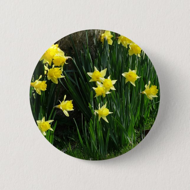 Frühlingsdaffodien Button (Vorderseite)