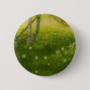 Frühlingsdaffodien Button
