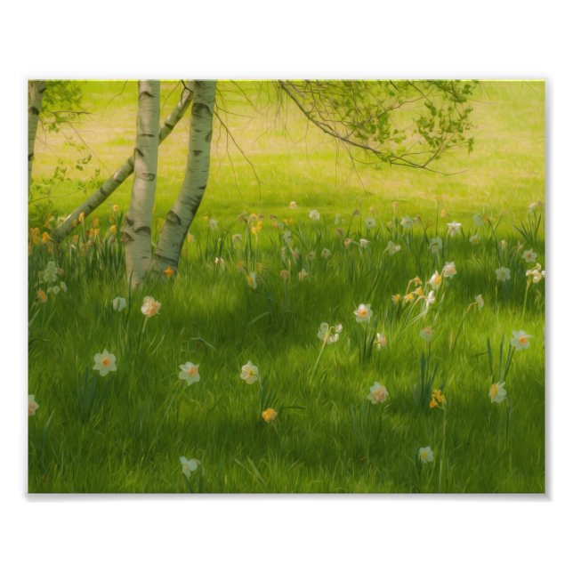 Frühlingsdaffodien Fotodruck (Vorne)