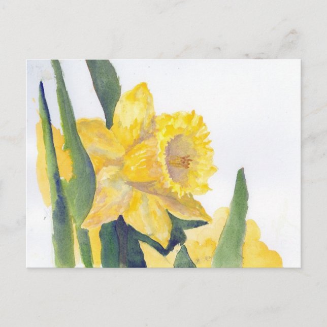 Frühlingsdaffodien Postkarte (Vorderseite)