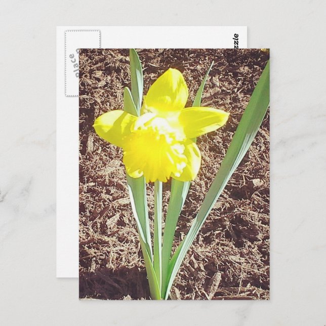 Frühlingsdialbild Postkarte (Vorne/Hinten)