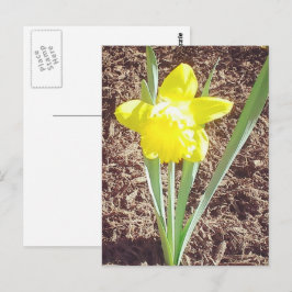 Frühlingsdialbild Postkarte