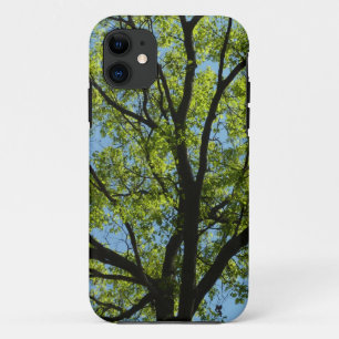 Frühlingseichenbaum Lebendige Natur Case-Mate iPhone Hülle