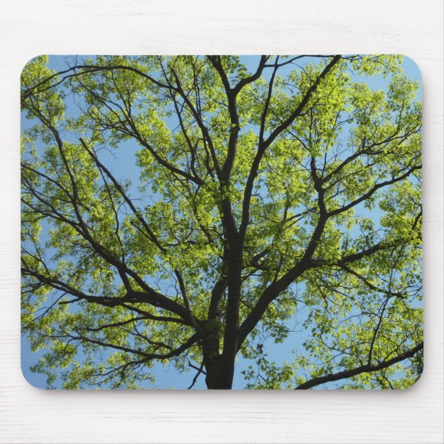 Frühlingseichenbaum Lebendige Natur Mousepad (Vorne)