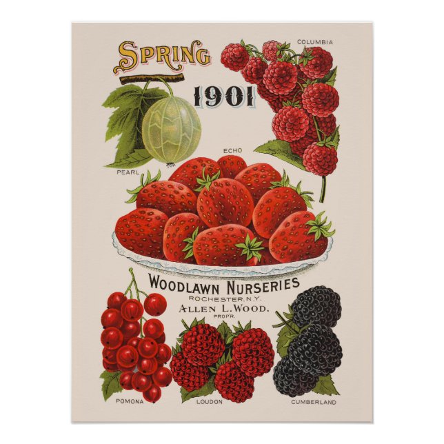 Frühlingserreger Poster (Vorderseite)