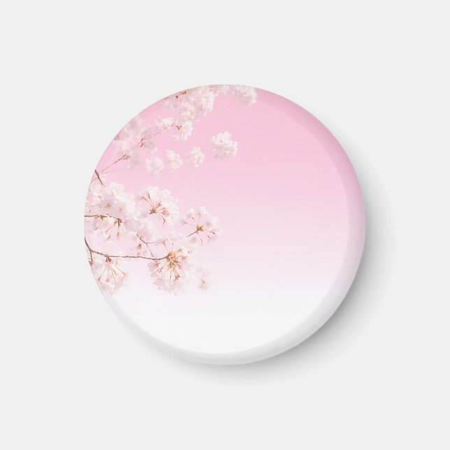 Frühlingserwachen mit rosa Kirschblüten Magnet (Vorne)