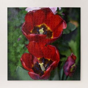 Frühlingserwachen, Tulips