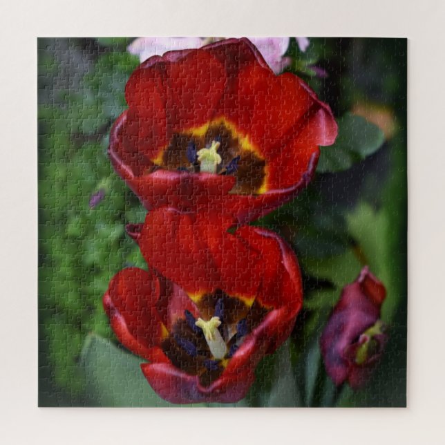 Frühlingserwachen, Tulips (Vertikal)