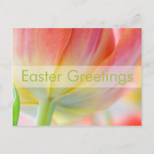 Frühlingsfarben ・ Ostern Postkarte
