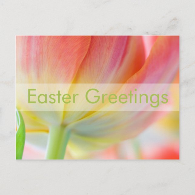 Frühlingsfarben ・ Ostern Postkarte (Vorderseite)