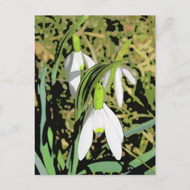 Frühlingsfarben Postkarte (Vorderseite)