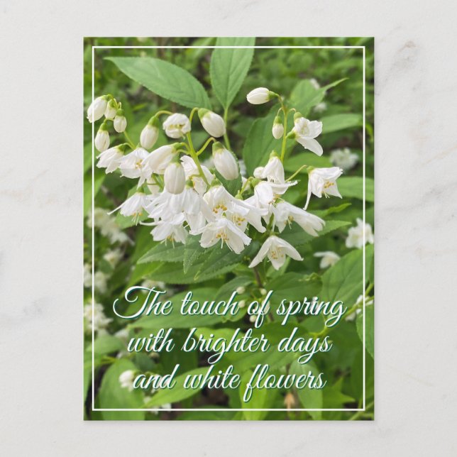 Frühlingsfeiertag mit Blumen  Postkarte (Vorderseite)