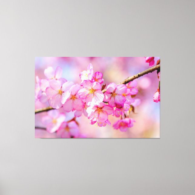 Frühlingsfest Frische rosa Sakura Blüten Leinwanddruck (Vorderseite)