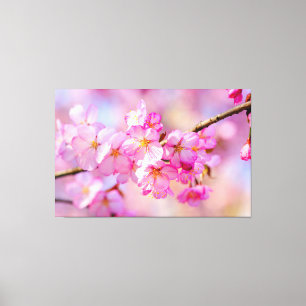 Frühlingsfestival der frischen rosa Kirschblüten Leinwanddruck