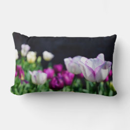 Frühlingsfische Lendenkissen