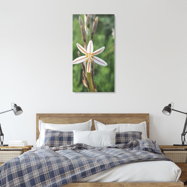 Frühlingsflora Südafrika Leinwanddruck (Insitu (Schlafzimmer))