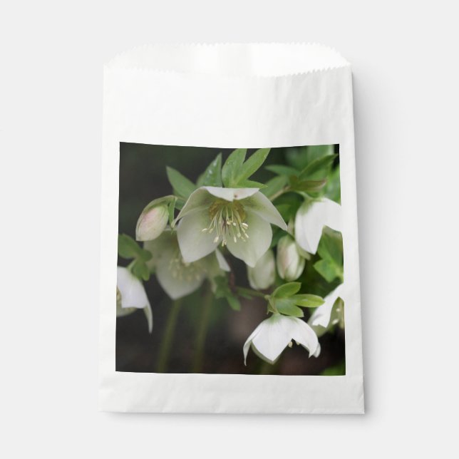 Frühlingsfloral Gefälligkeitsflaggen Geschenktütchen (Vorderseite)