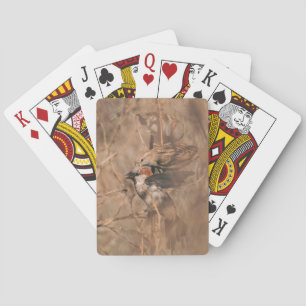 Frühlingsfoto von Spatzen - Rustikale Wildtierfoto Spielkarten