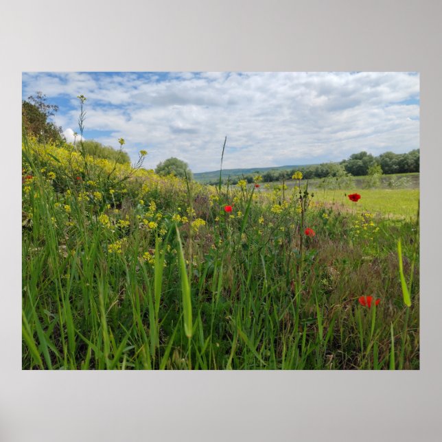 Frühlingsfotografie Poster (Vorne)