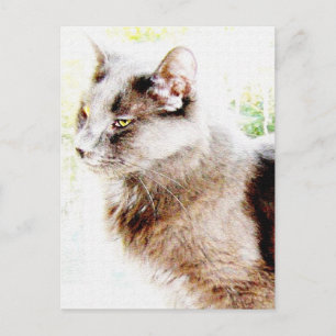 Frühlingsfreund PoStCaRd! Postkarte