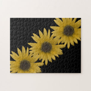 Frühlingsgarten Sonnenblume Botanische Blumen
