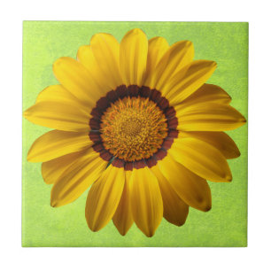 Frühlingsgelbe Blume auf abstrakt grün Fliese
