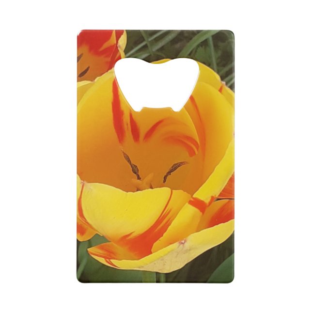 Frühlingsgelbe Tulips Flaschenöffner (Vorderseite)