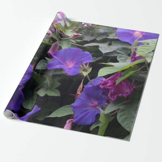 Frühlingsglorie in Blau Geschenkpapier (Ungerollt)
