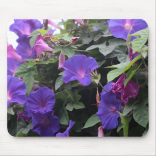 Frühlingsglorie in Blau Mousepad