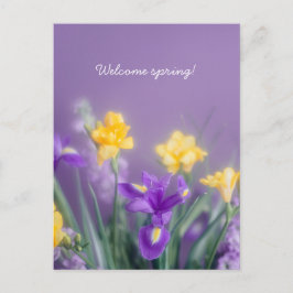 Frühlingshafte Blumenbegrüßung, pastellene Ästheti Postkarte