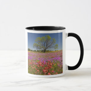 Frühlingshammen, die in Wildblumen wachsen, Tasse