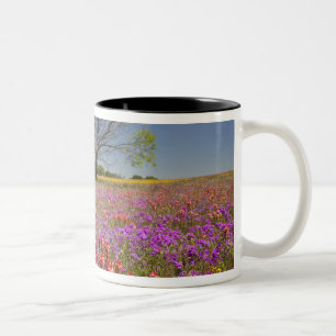 Frühlingshammen, die in Wildblumen wachsen, Zweifarbige Tasse