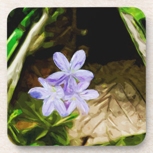Frühlingshauty eine Wildblume Abstrakt Impressioni Getränkeuntersetzer