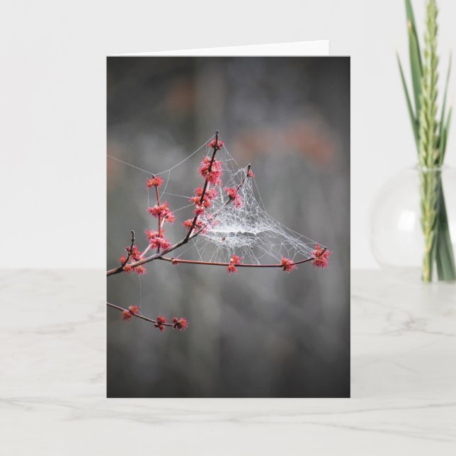 Frühlingshefte, Karte (Vorderseite)