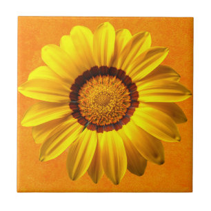 Frühlingshöhe gelbe Blume Fliese