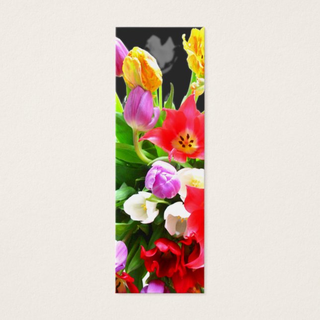 Frühlingshuppen (Vorderseite)