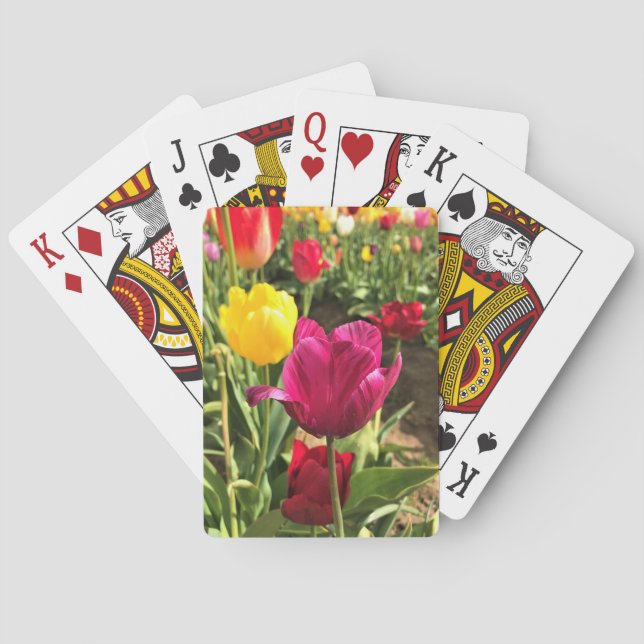 Frühlingshuppen, Oregon Spielkarten (Rückseite)