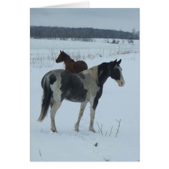 Frühlingsjahr (Vorne)