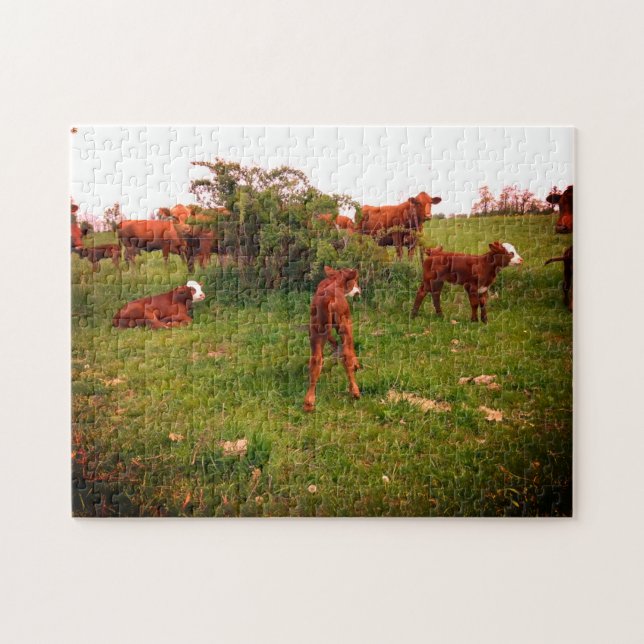 Frühlingskälchen (Horizontal)